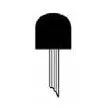 1/2" x 1/2" Mounted Points PT-60P Brown B Shaped