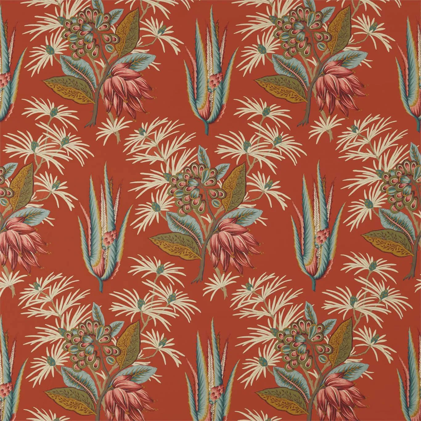 Desert Flower Ii