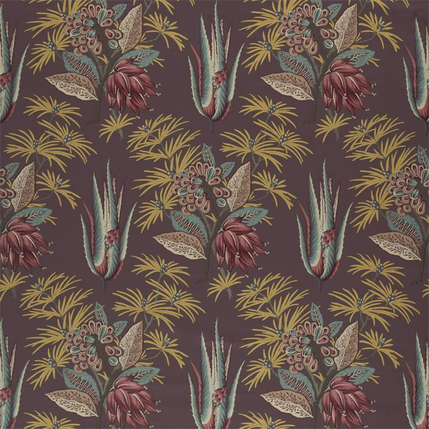 Desert Flower Ii