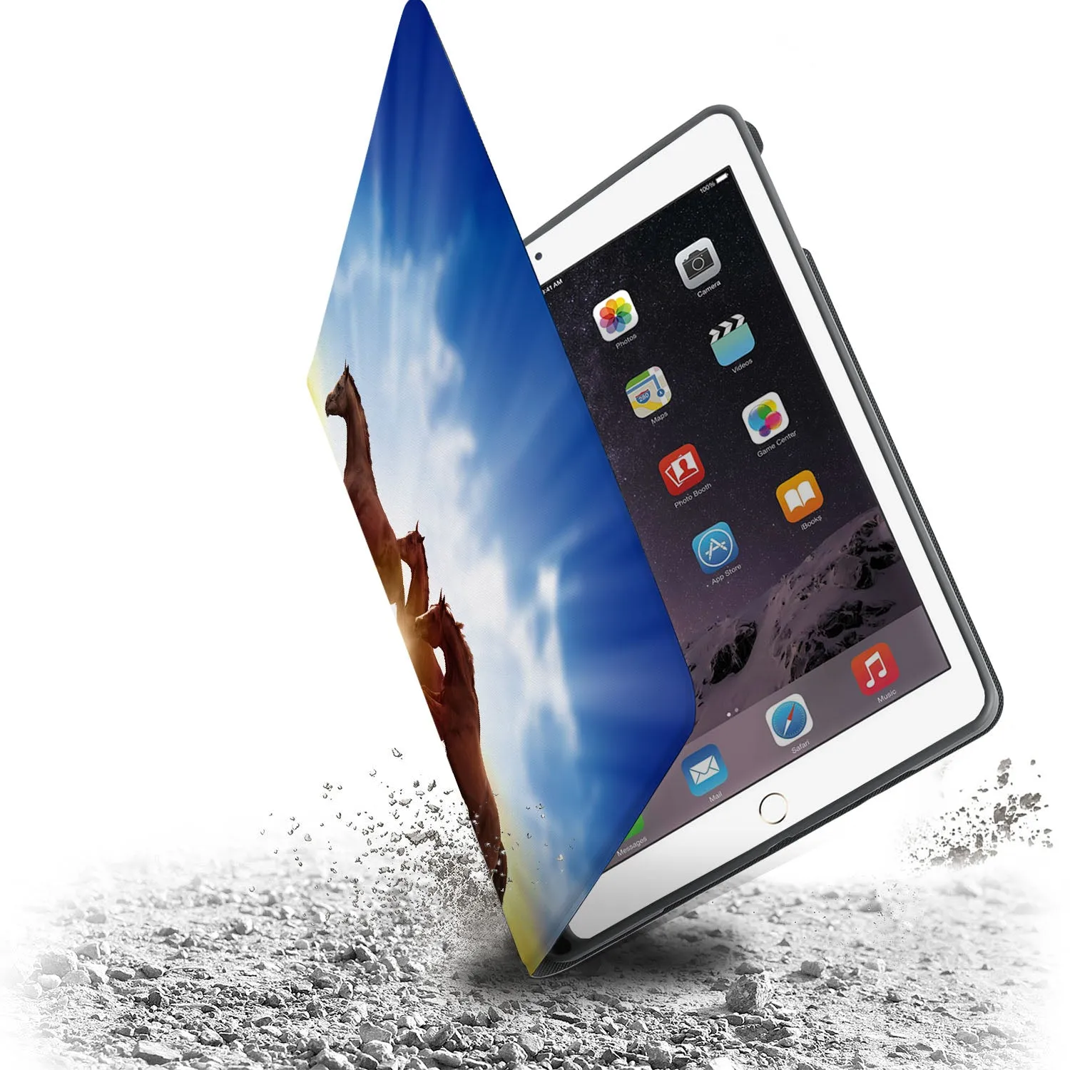 iPad Folio Case - Horse