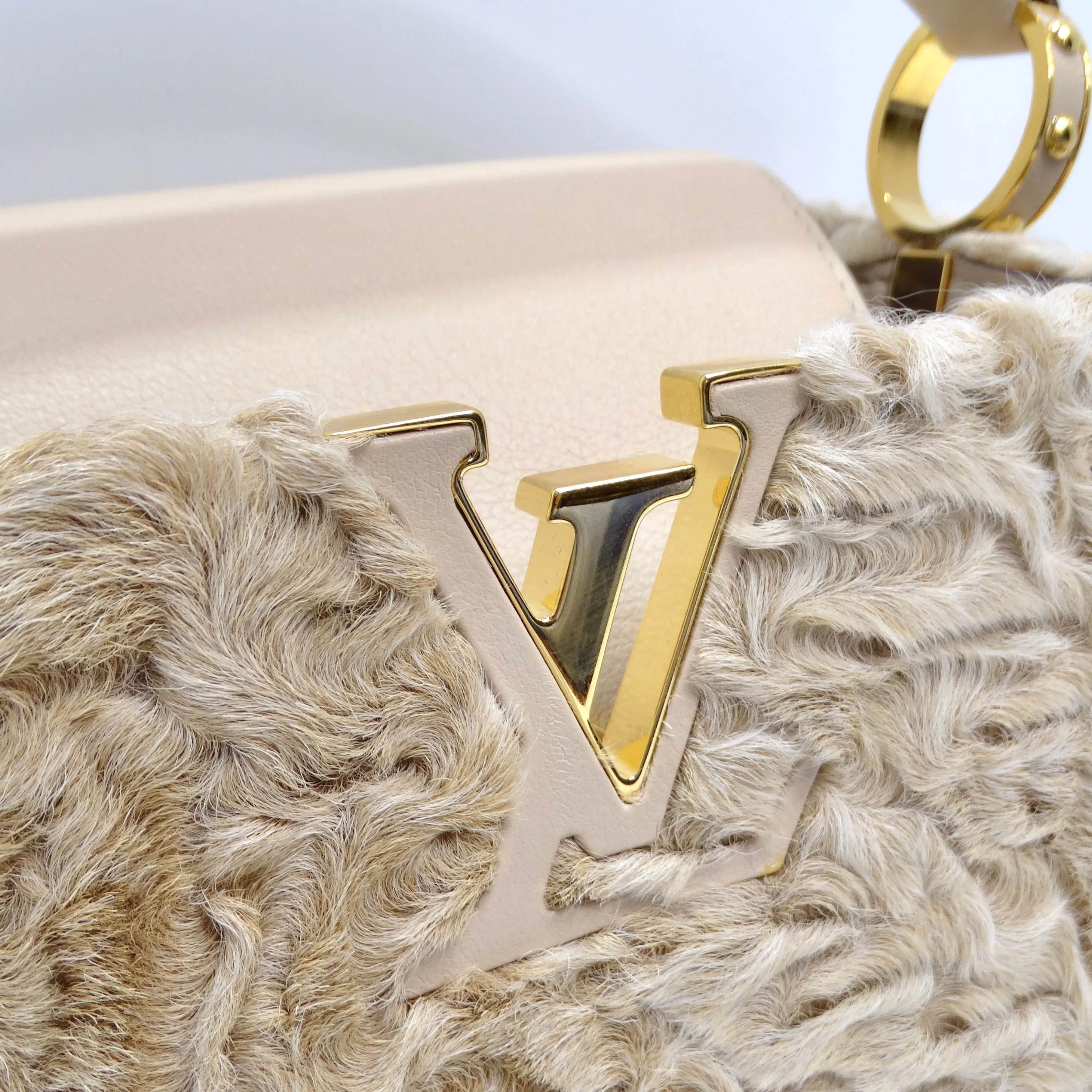 Louis Vuitton Capucines Astrakhan Fur Handbag