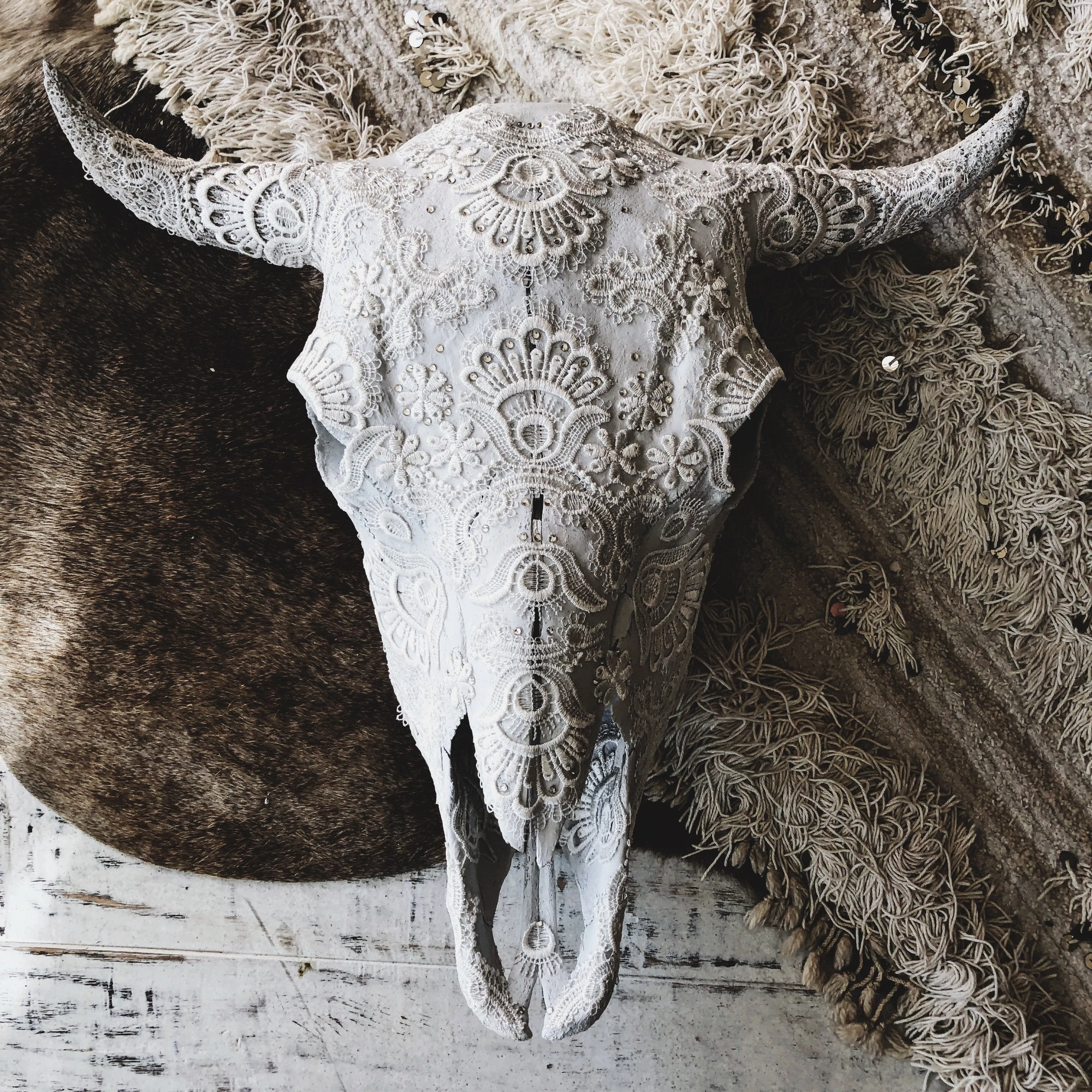 McQUEEN LACE Cow Skull