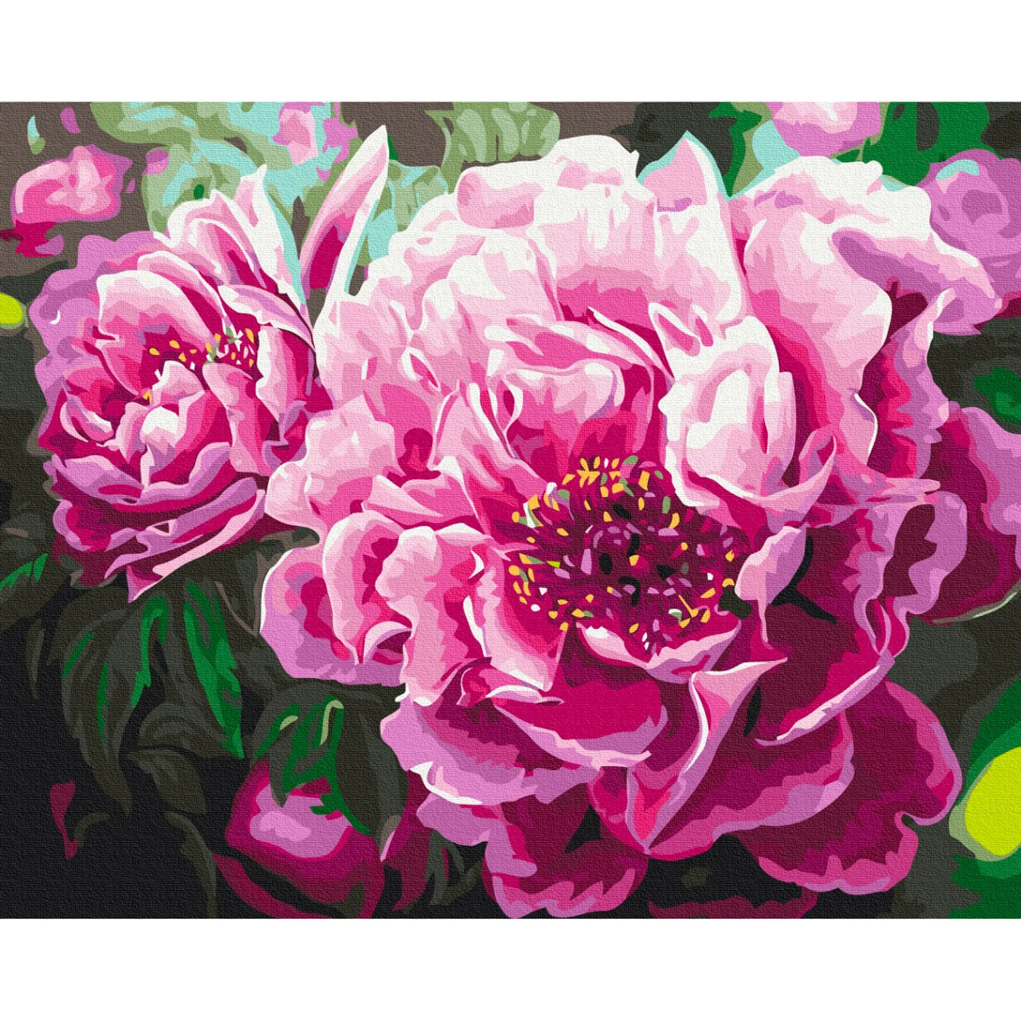 Paint by Numbers Kit - "Luxurious Peonies"