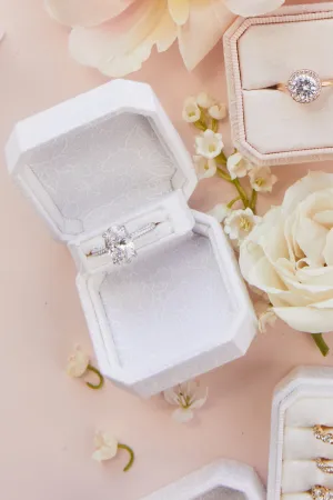 The Camellia Proposal