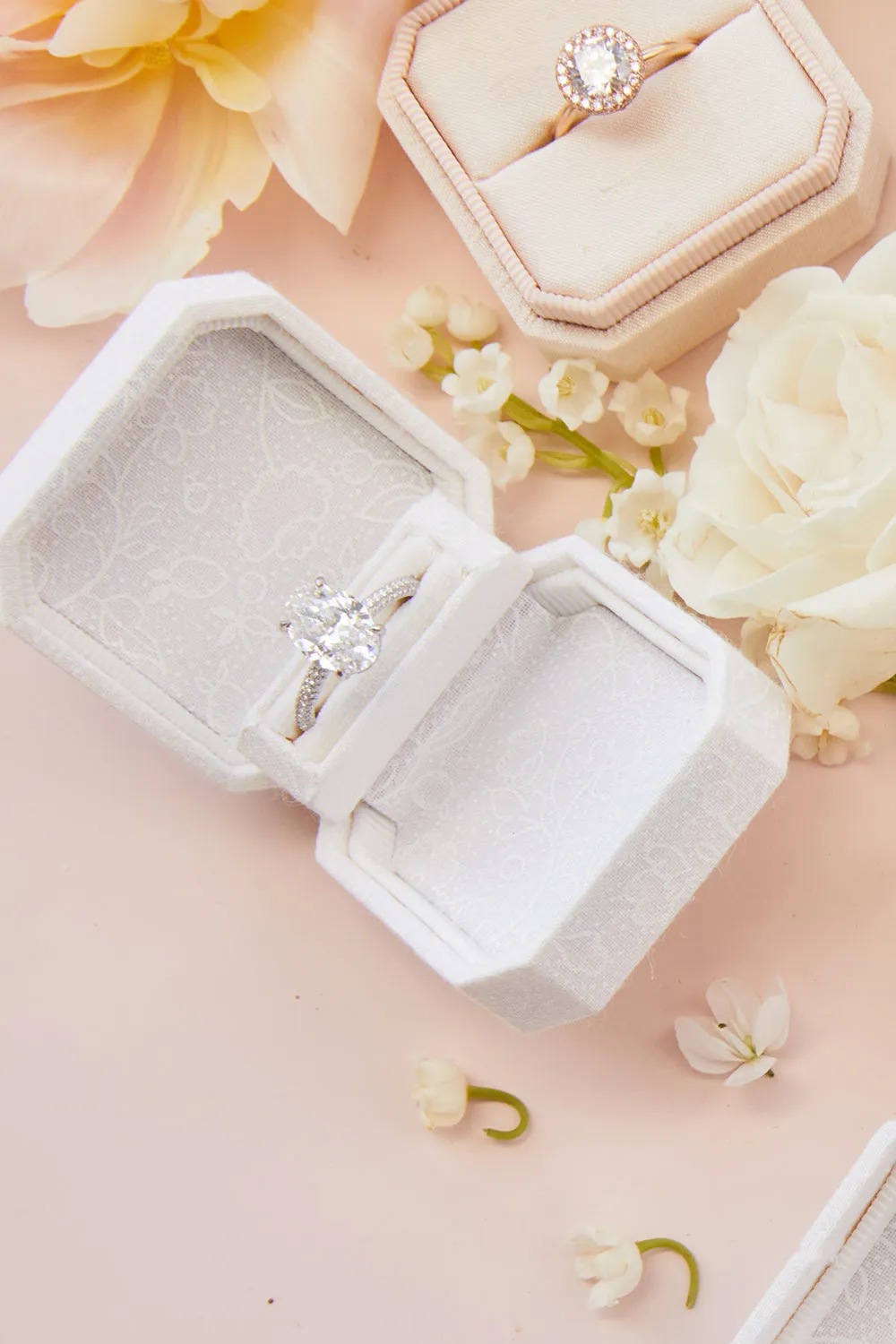 The Camellia Proposal
